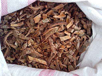 荆皮检测